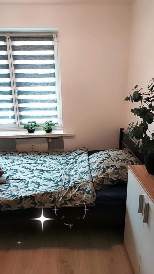 Apartament Ogrody/Jezyce Poznań Exterior foto